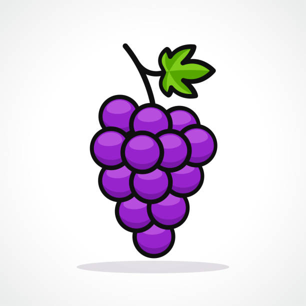 Grape Lost Mary BM600
