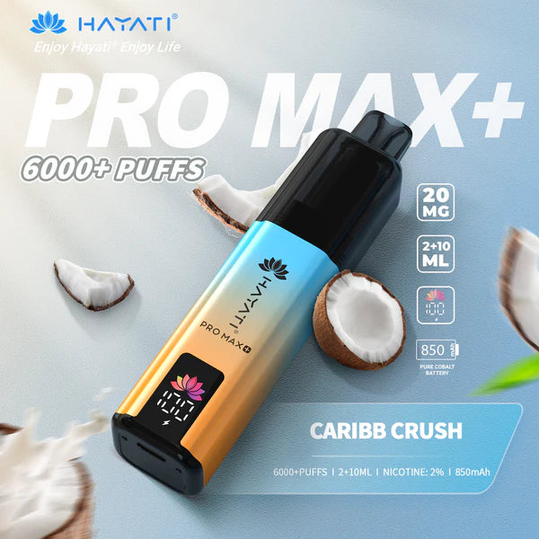 Hayati Pro Max Plus 6000+ | Single Bar