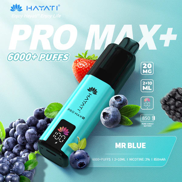 Hayati Pro Max Plus 6000+ | Single Bar
